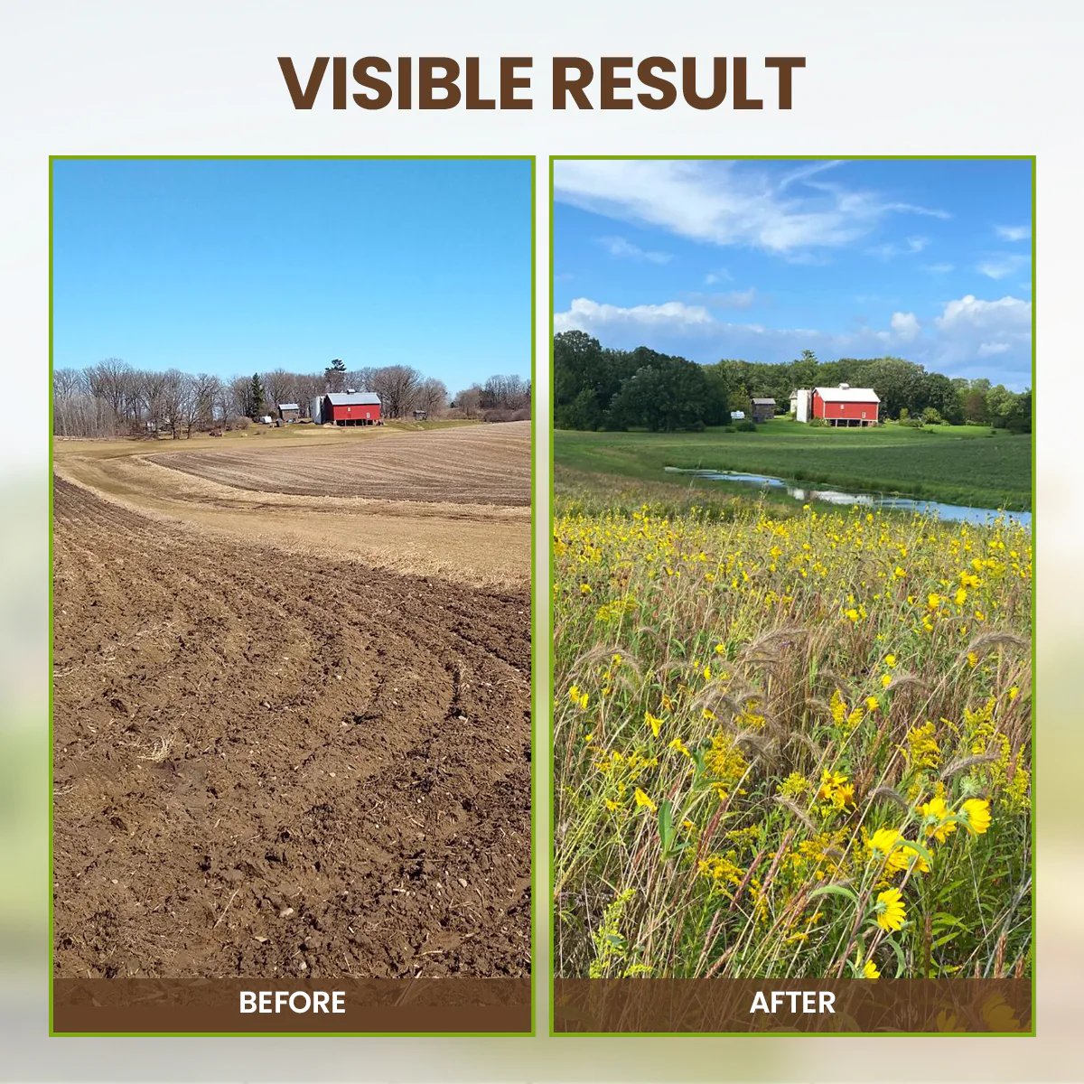 🏆 Limited Time Deal !!⭐75K+ SOLD🌳Soil Pro Activator