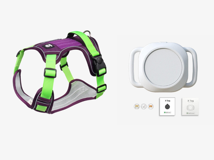 ⏳🔥LIMITED-TIME 49% OFF! ⏰🐶 No Pull Dog Harness With Leash & Collar LED - Walks Just Got Easier ✨