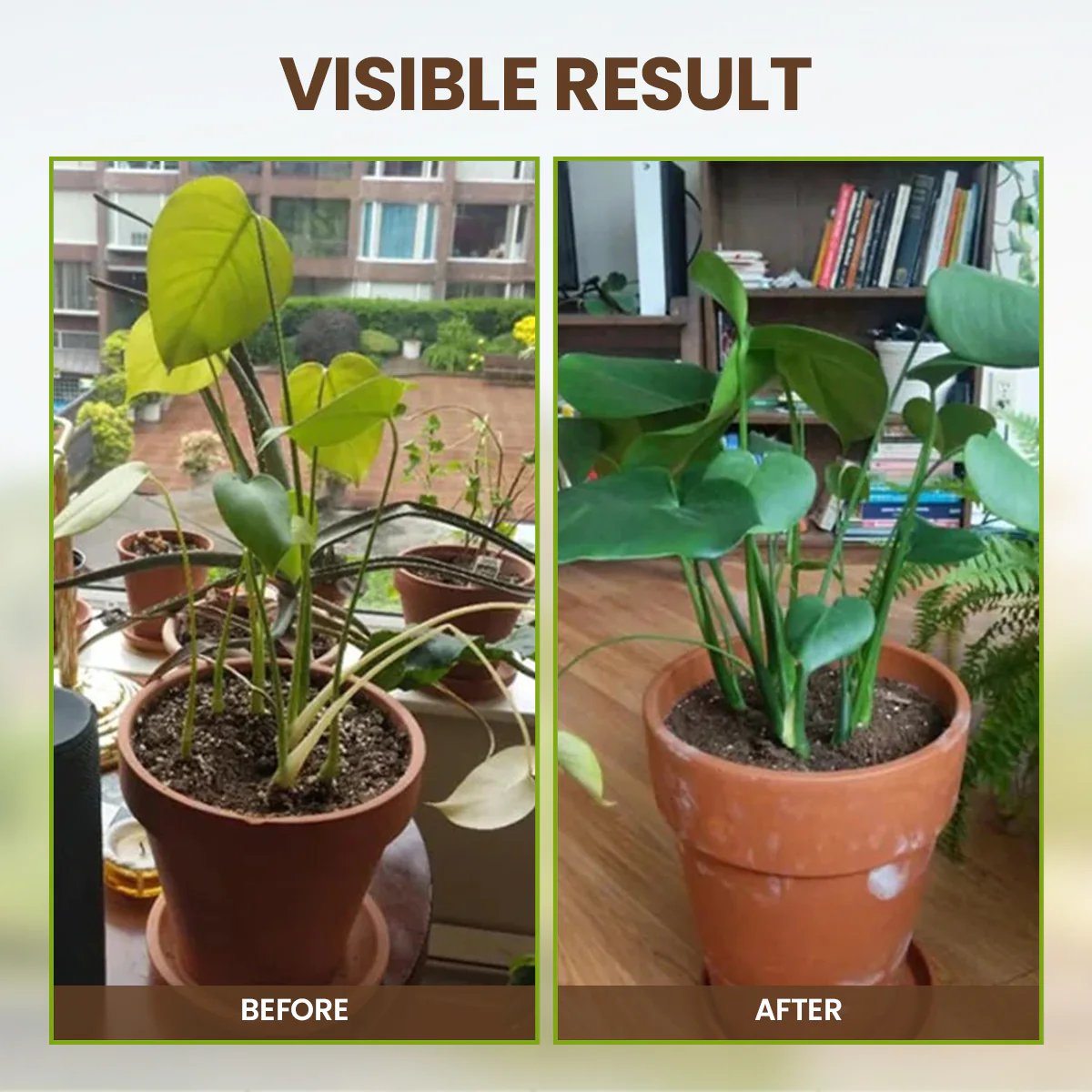 🏆 Limited Time Deal !!⭐75K+ SOLD🌳Soil Pro Activator