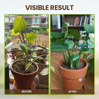 ⏰🔥LIMITED TIME 49% OFF! 🏆 75K+ SOLD Soil Pro Activator – Boost Plant Growth, Revitalize Soil & Maximize Yields 🌳✨