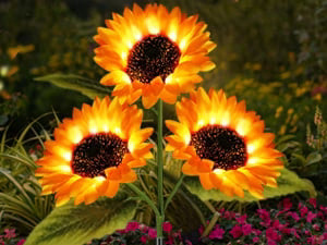 ⏳Limited-time 49% off🌞Solar LED Sunflower Garden Lights-29.6inch/75cm