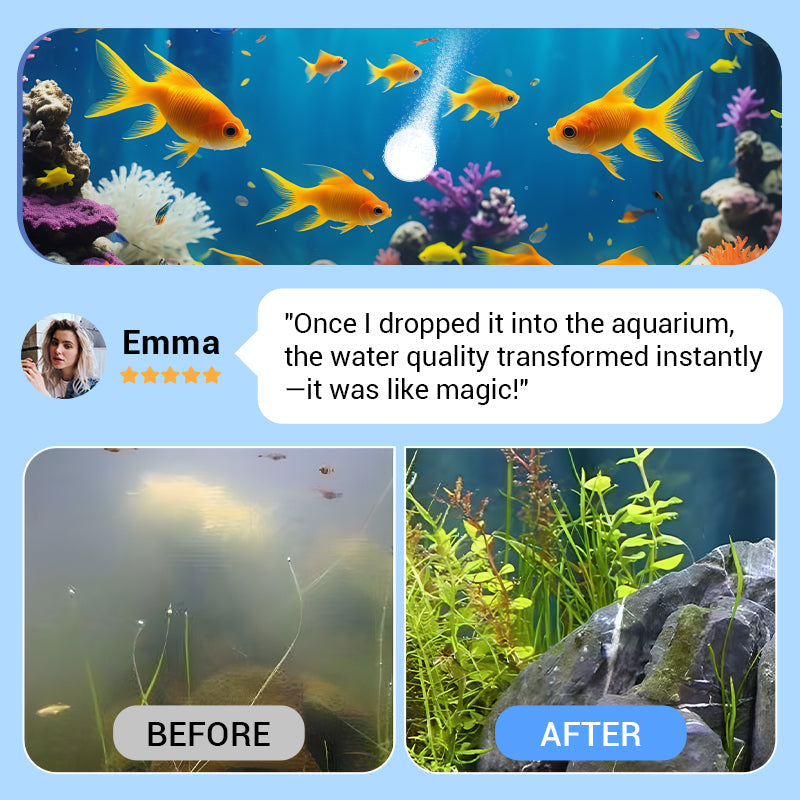 🐠Buy 2 Get 1 Free⚡50K+ SOLD!♻️Powerful Aquarium Water Purification Tablet🌿