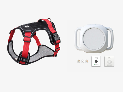 ⏳🔥LIMITED-TIME 49% OFF! ⏰🐶 No Pull Dog Harness With Leash & Collar LED - Walks Just Got Easier ✨