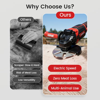 Labor-Saving Pig Hair Remover Scraper Disc