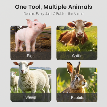 Labor-Saving Pig Hair Remover Scraper Disc