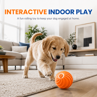 🏆Limited Time Sale 49% OFF 🐶🐾Smart Interactive Bouncing Ball