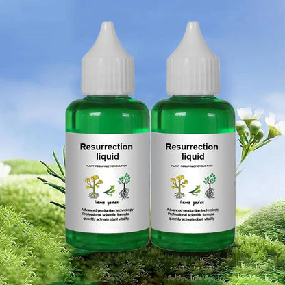 🔥Buy 1 Get 1 Free!🌿Plant & Flower Activation Liquid - Expert-Recommended Formula for Vibrant Growth & Blooming 🌸🌱