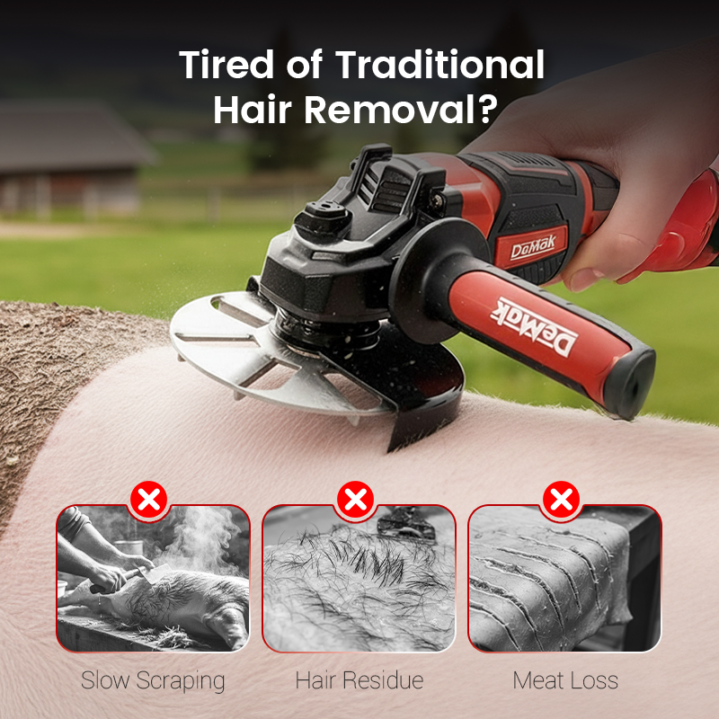 Labor-Saving Pig Hair Remover Scraper Disc