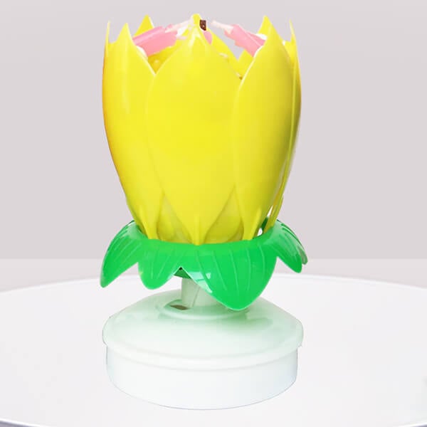 🔥HOT SALE 49% OFF🎂Magic Flower Birthday Candle