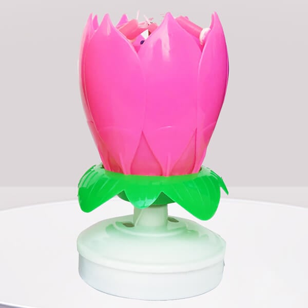 🔥HOT SALE 49% OFF🎂Magic Flower Birthday Candle