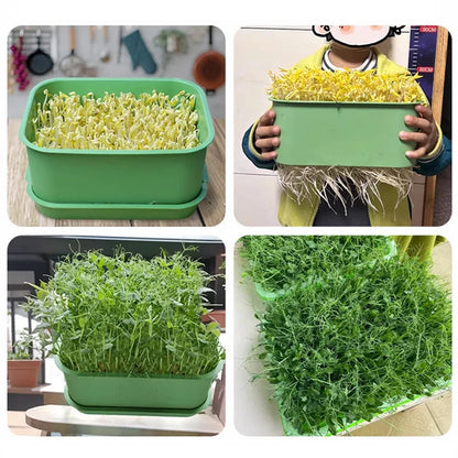 🔥Limited stock available 50% OFF🔥Stackable Bean Sprout Growing Box - Multi-layer Design, Perfect for Home Cultivation, Healthy Green Living!
