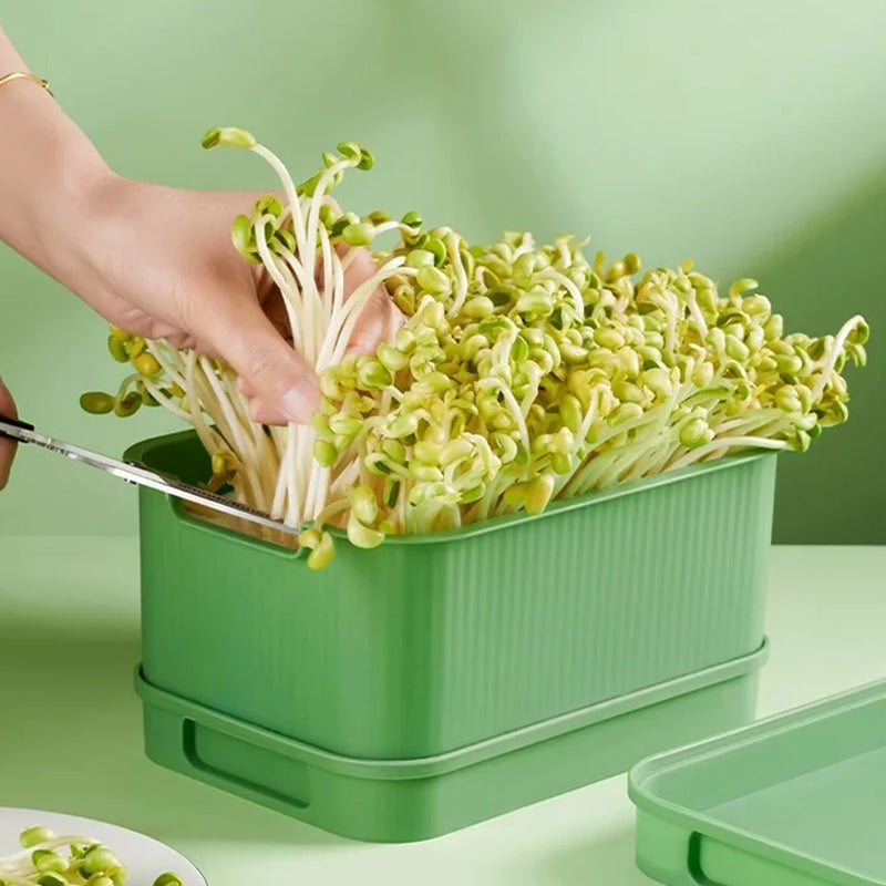 🔥Limited stock available 50% OFF🔥Stackable Bean Sprout Growing Box - Multi-layer Design, Perfect for Home Cultivation, Healthy Green Living!