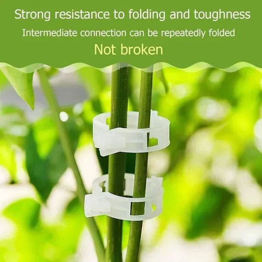 🔥HOT SALE🔥Clips for climbing plants – Plastic tomato ties and plant fasteners 🌱🍅