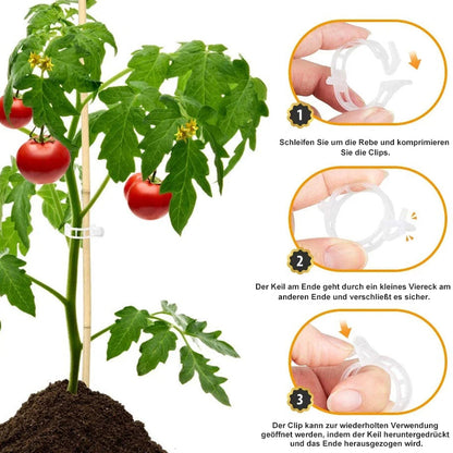 🔥HOT SALE🔥Clips for climbing plants – Plastic tomato ties and plant fasteners 🌱🍅