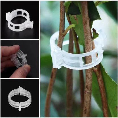 🔥HOT SALE🔥Clips for climbing plants – Plastic tomato ties and plant fasteners 🌱🍅