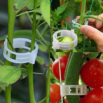 🔥HOT SALE🔥Clips for climbing plants – Plastic tomato ties and plant fasteners 🌱🍅