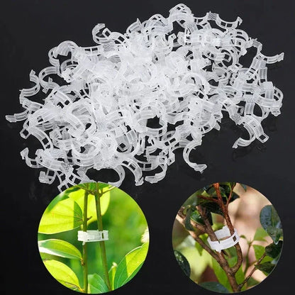 🔥HOT SALE🔥Clips for climbing plants – Plastic tomato ties and plant fasteners 🌱🍅