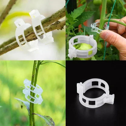 🔥HOT SALE🔥Clips for climbing plants – Plastic tomato ties and plant fasteners 🌱🍅