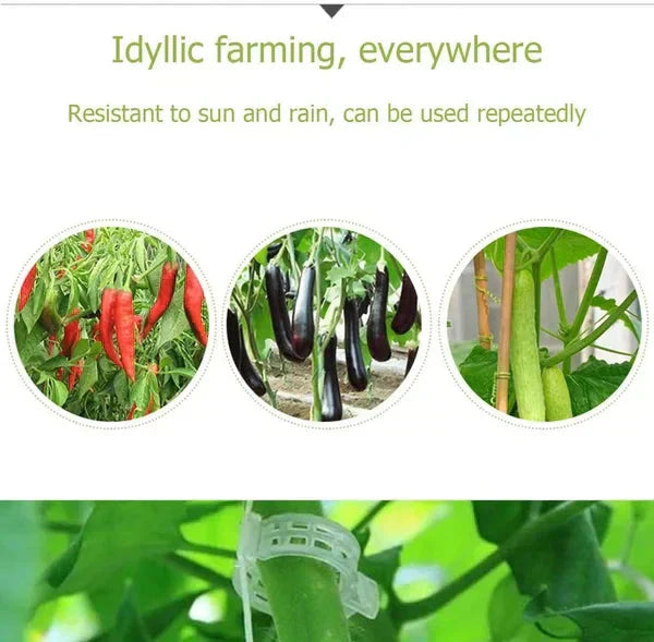 🔥HOT SALE🔥Clips for climbing plants – Plastic tomato ties and plant fasteners 🌱🍅