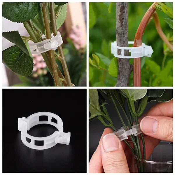 🔥HOT SALE🔥Clips for climbing plants – Plastic tomato ties and plant fasteners 🌱🍅