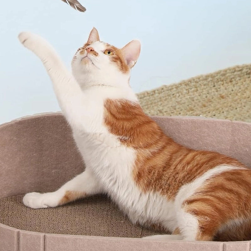 🌟49% OFF NOW!🐱Multi-Functional Felt Cat Bed with Scratcher Pad💖