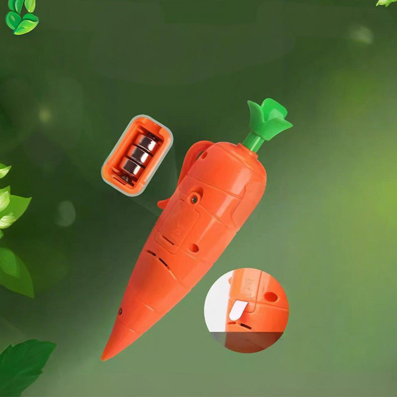 💐49% OFF!🥕2-in-1 Creative Voice Recorder – Audio Recording & Playback 🎤🔊【Limited Offer】