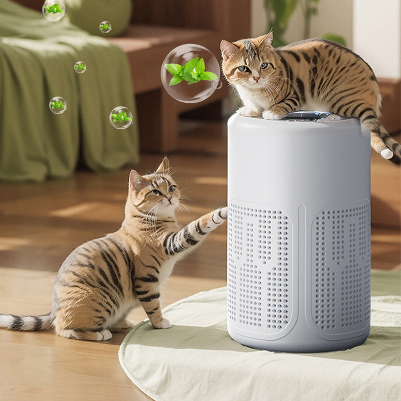 💐49% OFF! Silent Air Purifier – Peaceful sleep, no noise 🔇😴【Limited Offer】