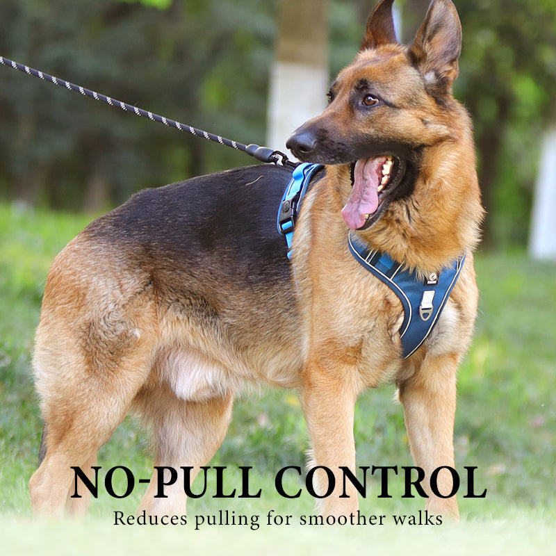 ⏳🔥LIMITED-TIME 49% OFF! ⏰🐶 No Pull Dog Harness With Leash & Collar LED - Walks Just Got Easier ✨