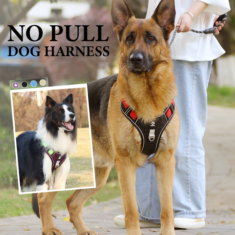 ⏳🔥LIMITED-TIME 49% OFF! ⏰🐶 No Pull Dog Harness With Leash & Collar LED - Walks Just Got Easier ✨