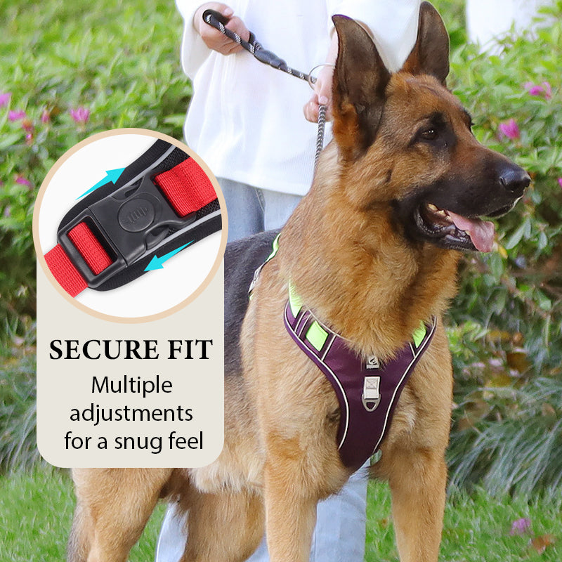 ⏳🔥LIMITED-TIME 49% OFF! ⏰🐶 No Pull Dog Harness With Leash & Collar LED - Walks Just Got Easier ✨