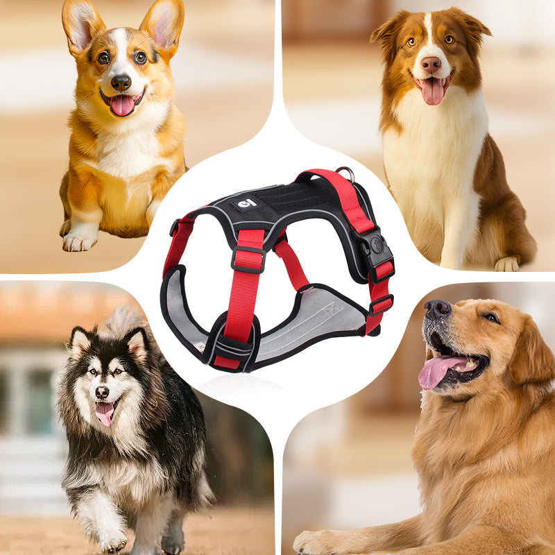 ⏳🔥LIMITED-TIME 49% OFF! ⏰🐶 No Pull Dog Harness With Leash & Collar LED - Walks Just Got Easier ✨