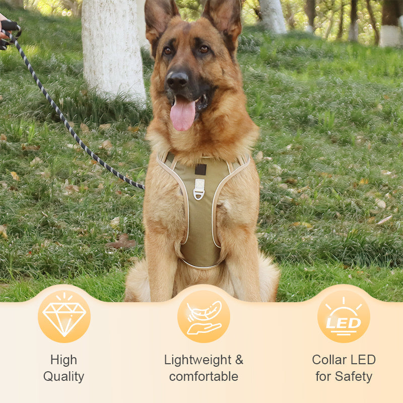 ⏳🔥LIMITED-TIME 49% OFF! ⏰🐶 No Pull Dog Harness With Leash & Collar LED - Walks Just Got Easier ✨
