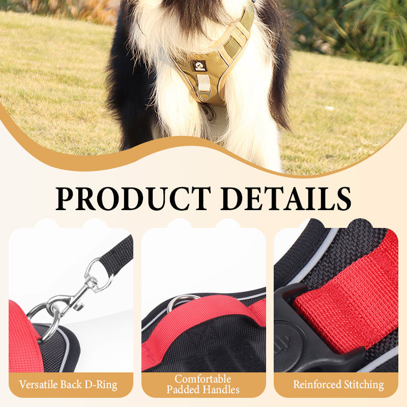 ⏳🔥LIMITED-TIME 49% OFF! ⏰🐶 No Pull Dog Harness With Leash & Collar LED - Walks Just Got Easier ✨
