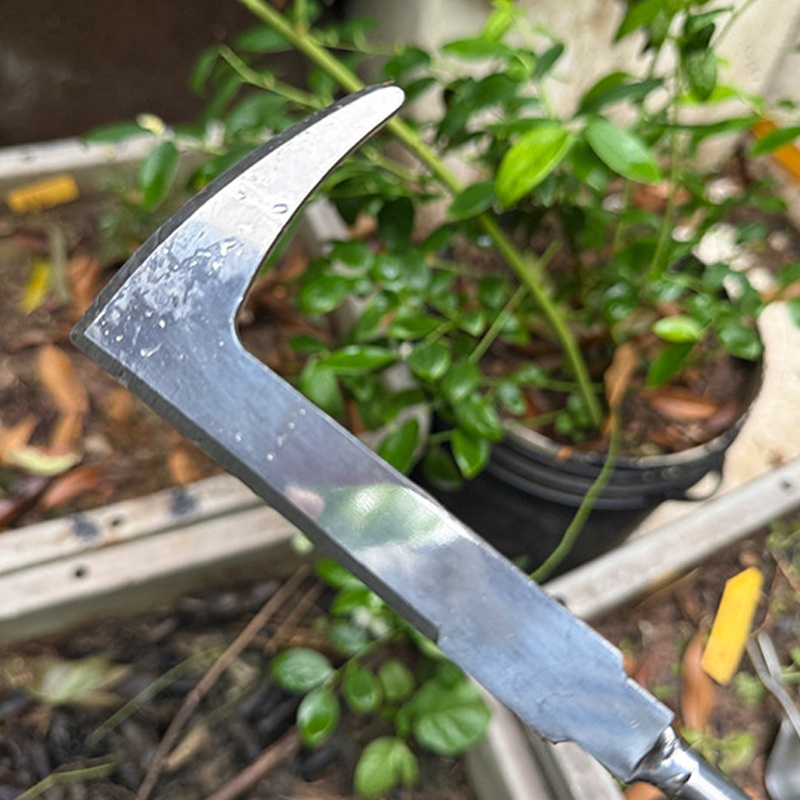 🔥49% OFF!🍃Ergonomic Hand Weeder Tool Kit