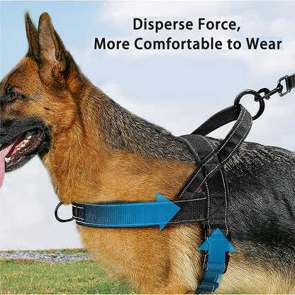 🐕 49% OFF! 🛡️ Heavy-Duty Tactical Dog Harness – No-pull & no-choke ✨
