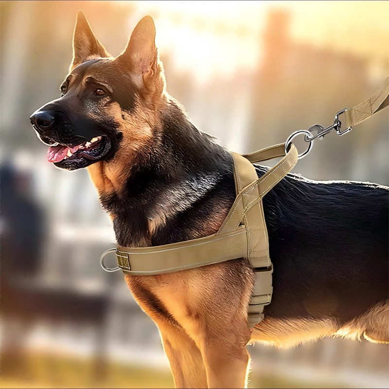 🐕 49% OFF! 🛡️ Heavy-Duty Tactical Dog Harness – No-pull & no-choke ✨