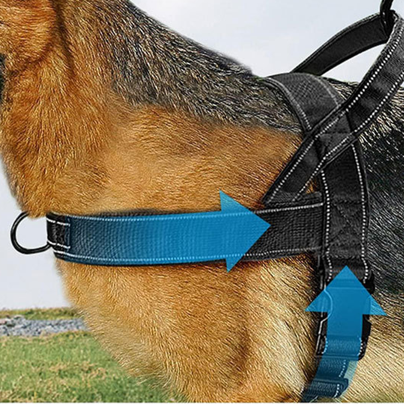 🐕 49% OFF! 🛡️ Heavy-Duty Tactical Dog Harness – No-pull & no-choke ✨