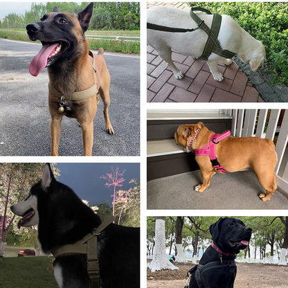 🐕 49% OFF! 🛡️ Heavy-Duty Tactical Dog Harness – No-pull & no-choke ✨