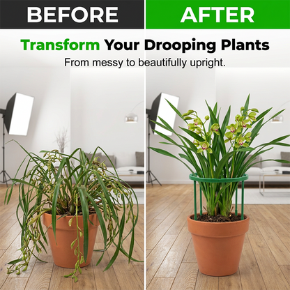 🔥2026 New Arrival ＆ Hot Sale ＆ 49％ Off🔥 Plant Grow Rings ✅ Interlocking Support & Easy Setup | Keep Plants Upright Fast 🌱