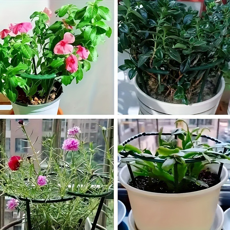🔥2026 New Arrival ＆ Hot Sale ＆ 49％ Off🔥 Plant Grow Rings ✅ Interlocking Support & Easy Setup | Keep Plants Upright Fast 🌱