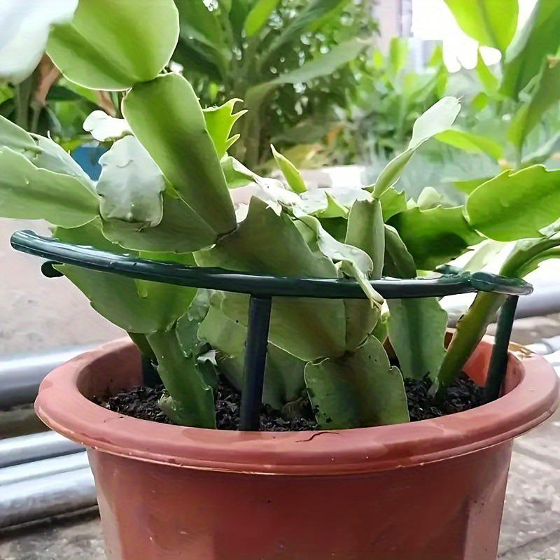 🔥2026 New Arrival ＆ Hot Sale ＆ 49％ Off🔥 Plant Grow Rings ✅ Interlocking Support & Easy Setup | Keep Plants Upright Fast 🌱