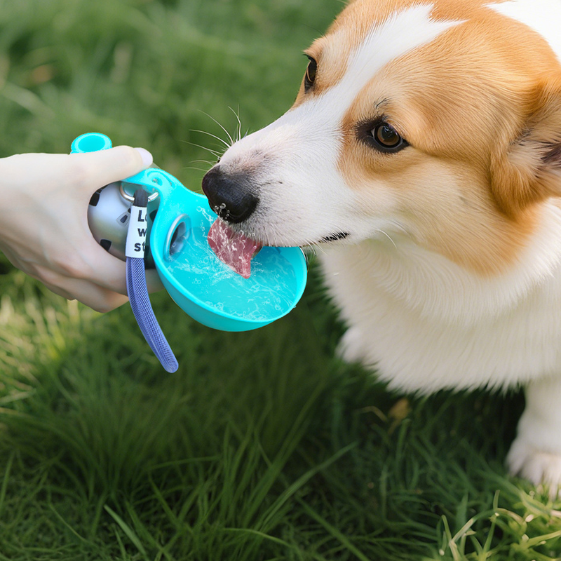 🐕💧 49% OFF! 2-in-1 Portable Dog Water Bottle for Small Dogs – Leak-Proof & Compact