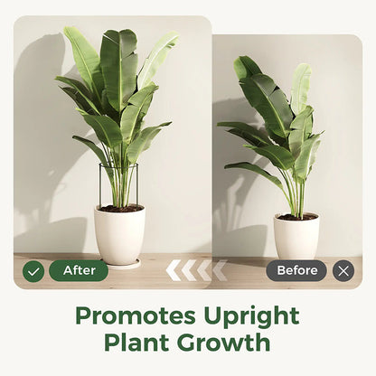 🔥49％ OFF🔥Plant Support Stakes for Indoor & Outdoor Use