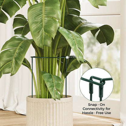 🔥49％ OFF🔥Plant Support Stakes for Indoor & Outdoor Use