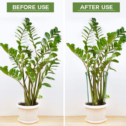 🔥49％ OFF🔥Plant Support Stakes for Indoor & Outdoor Use