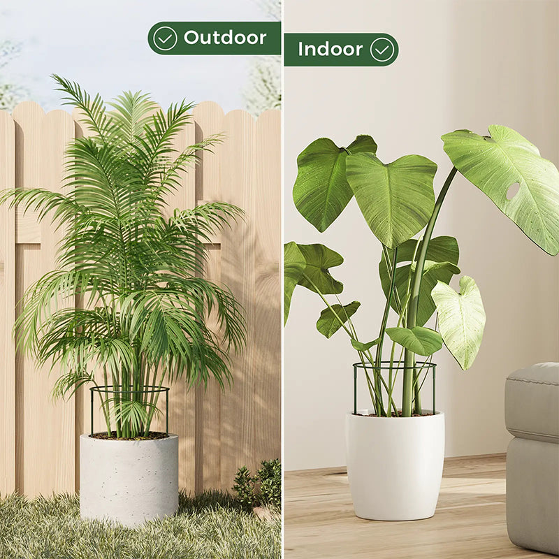 🔥49％ OFF🔥Plant Support Stakes for Indoor & Outdoor Use