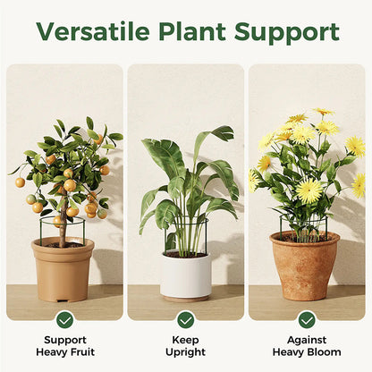🔥49％ OFF🔥Plant Support Stakes for Indoor & Outdoor Use