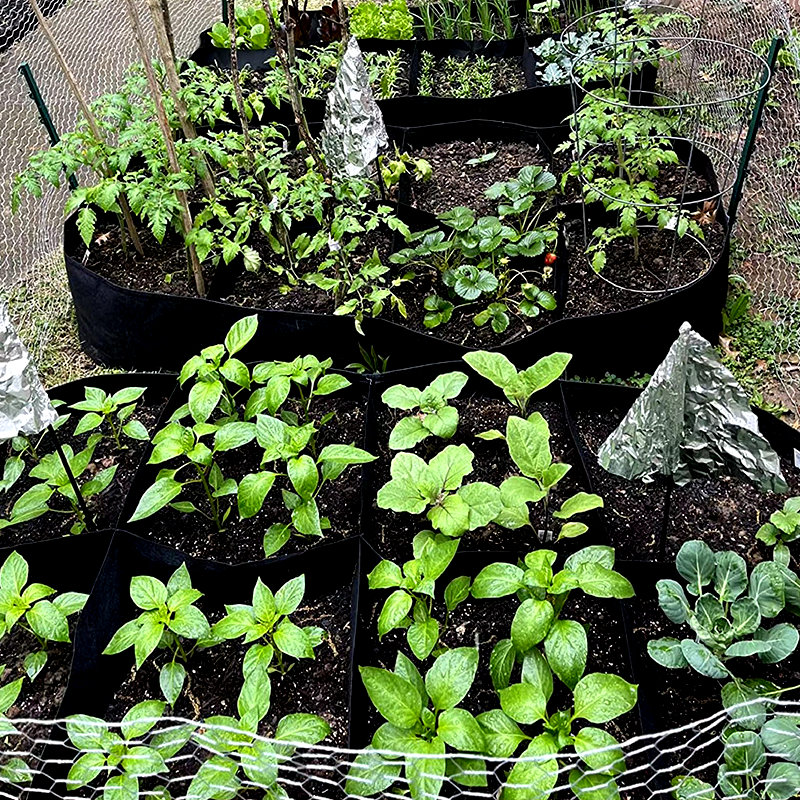 ⏳Limited-time 49% off⏰Divided Fabric Grow Bags for Plants🌱
