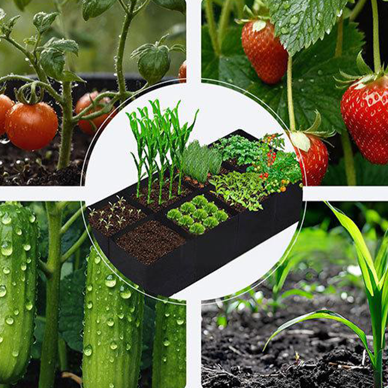 ⏳Limited-time 49% off⏰Divided Fabric Grow Bags for Plants🌱