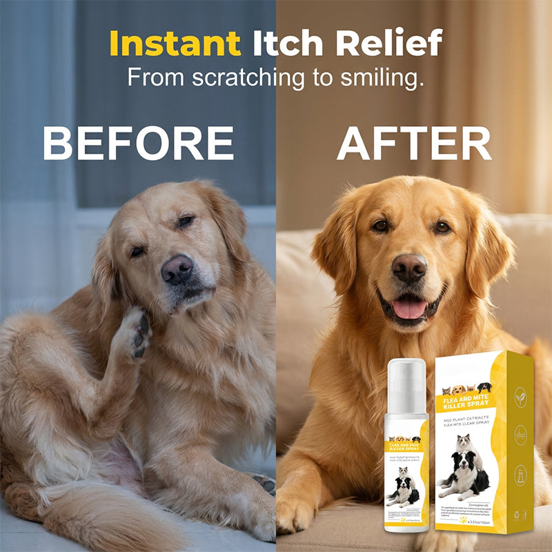 🔥Selling Fast – 49% OFF！🎁Tick Season is Here🕷🛡️Pet Pest Repellent Spray